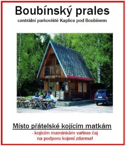 Boubínksý prales